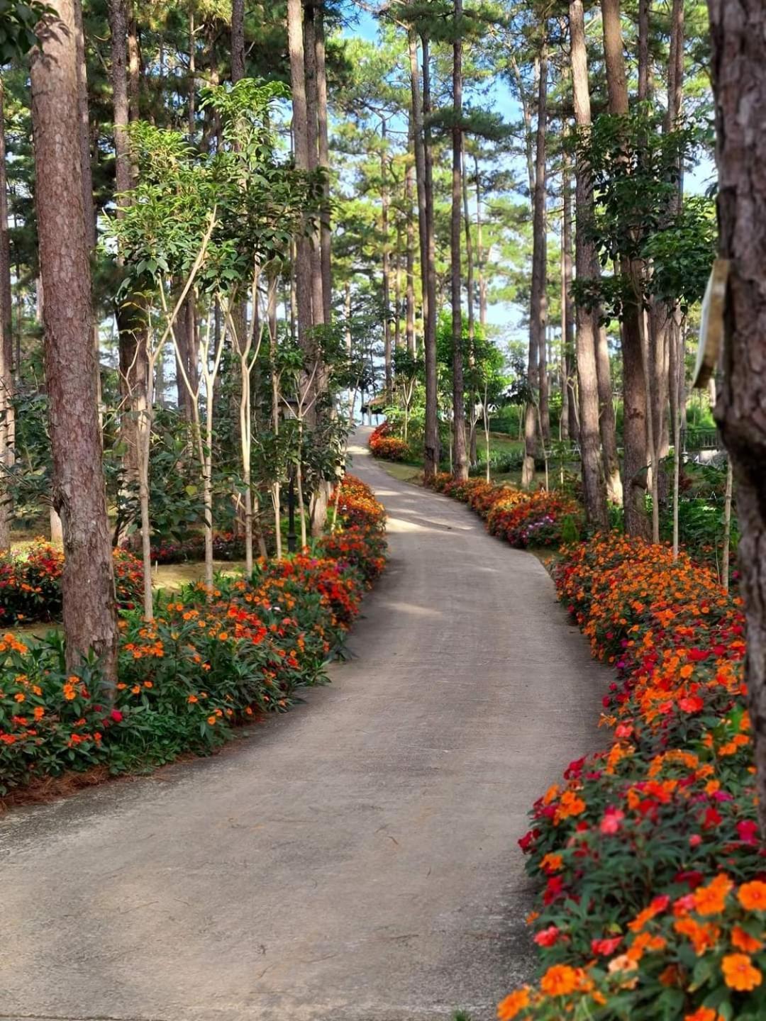 Dahlia Dalat Aparthotel Exterior photo